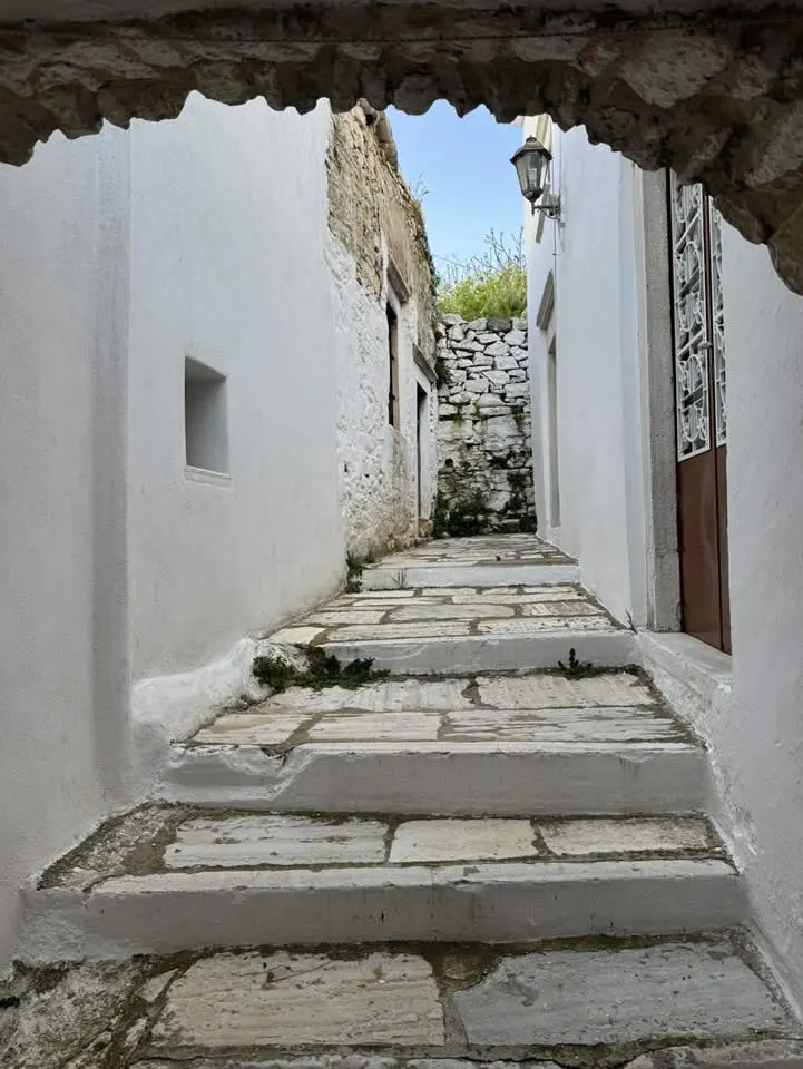 Apeiranthos Tour by Anefanos Tours 3