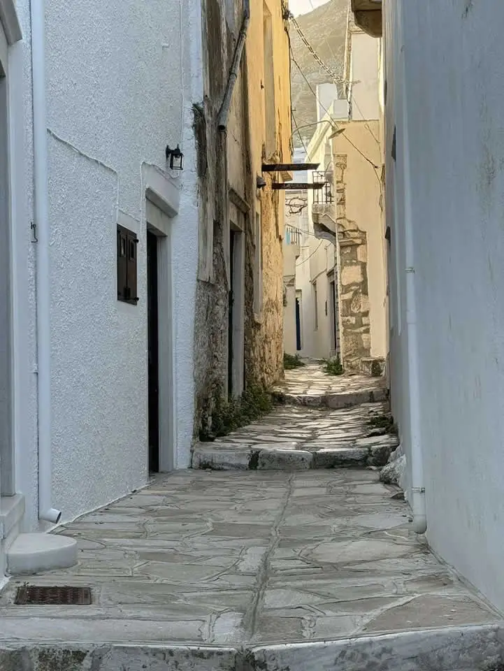 Apeiranthos Tour by Anefanos Tours 5